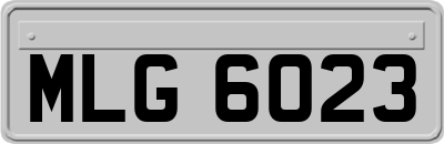 MLG6023