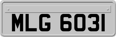 MLG6031
