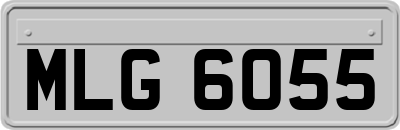 MLG6055