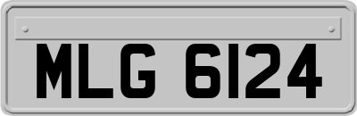 MLG6124
