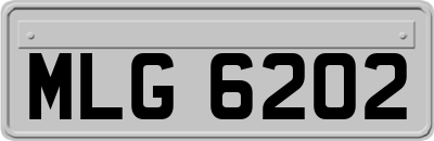MLG6202