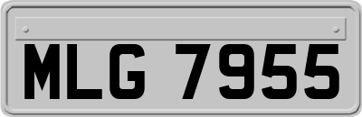 MLG7955