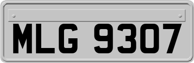 MLG9307