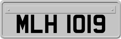 MLH1019