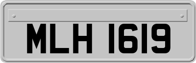 MLH1619