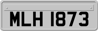 MLH1873