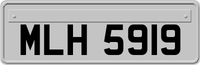 MLH5919