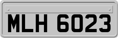 MLH6023