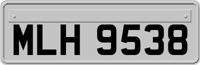 MLH9538