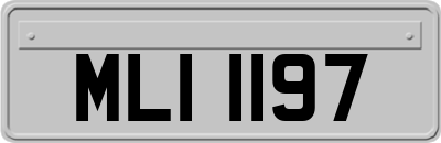 MLI1197