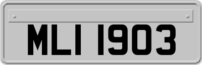 MLI1903