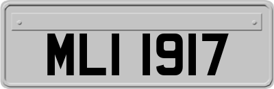 MLI1917