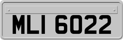 MLI6022