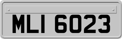 MLI6023