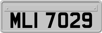 MLI7029