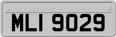 MLI9029