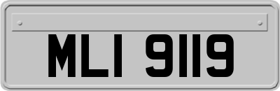 MLI9119