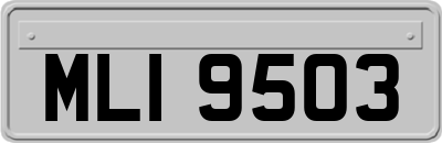 MLI9503