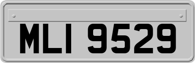 MLI9529