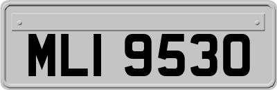 MLI9530
