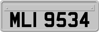 MLI9534
