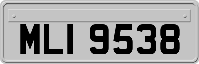 MLI9538