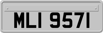 MLI9571
