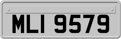 MLI9579