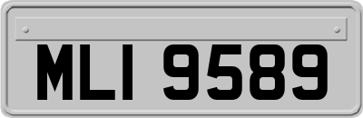 MLI9589