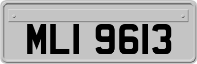 MLI9613