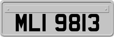MLI9813