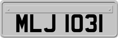 MLJ1031