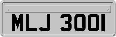 MLJ3001
