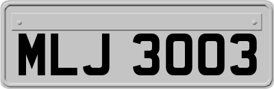 MLJ3003