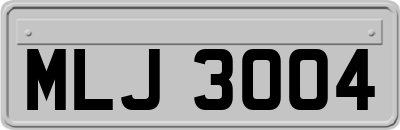 MLJ3004