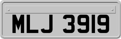 MLJ3919