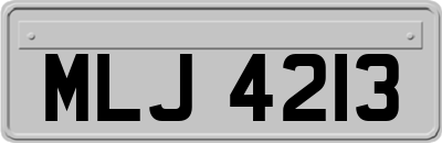 MLJ4213