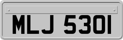 MLJ5301