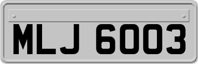 MLJ6003