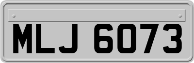 MLJ6073