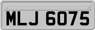 MLJ6075