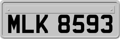 MLK8593
