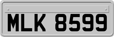 MLK8599