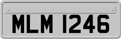 MLM1246