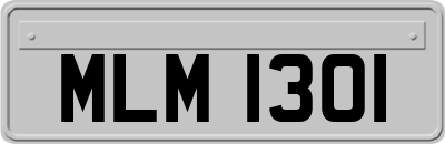 MLM1301