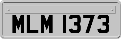 MLM1373