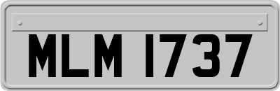 MLM1737