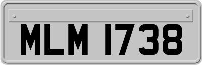 MLM1738