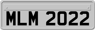 MLM2022