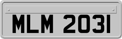 MLM2031